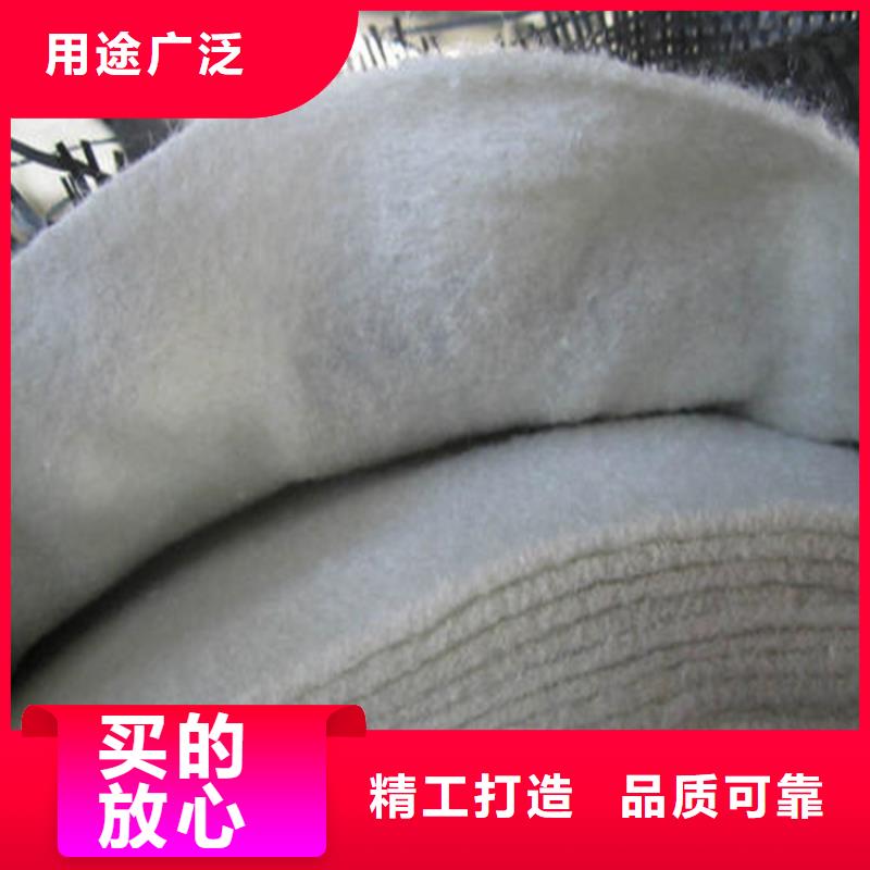 土工布钢塑土工格栅自有厂家