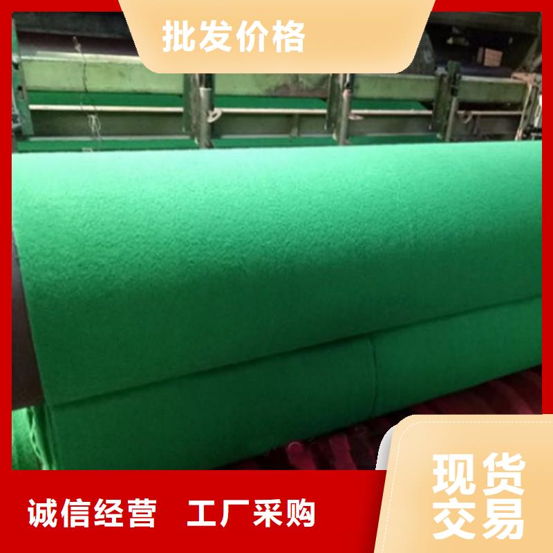 土工布钢塑土工格栅自有厂家