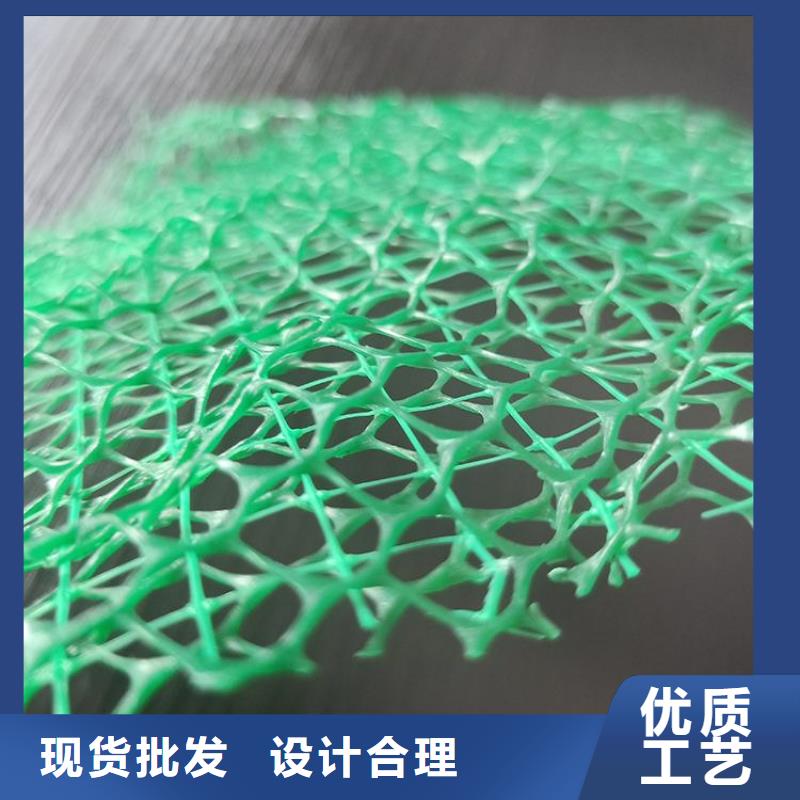 三维植被网土工格栅品质值得信赖