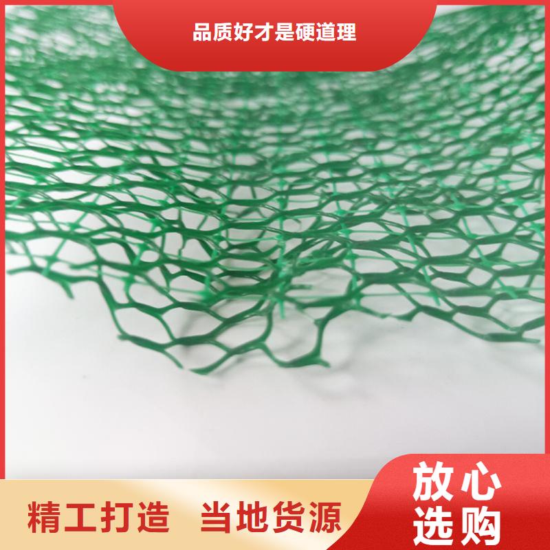 三维植被网,土工膜厂家新品