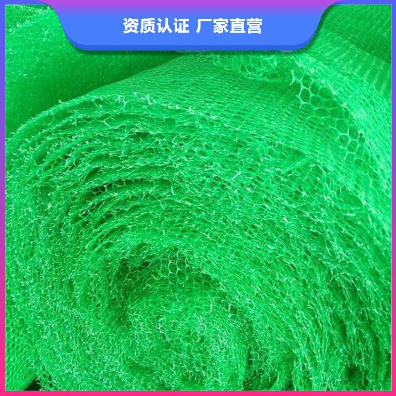 三维植被网玻纤格栅买的放心安兴用的舒心