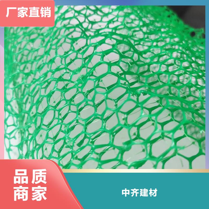 三维植被网,膨润土防水毯专注细节使用放心