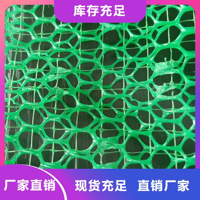 三维植被网玻纤格栅买的放心安兴用的舒心