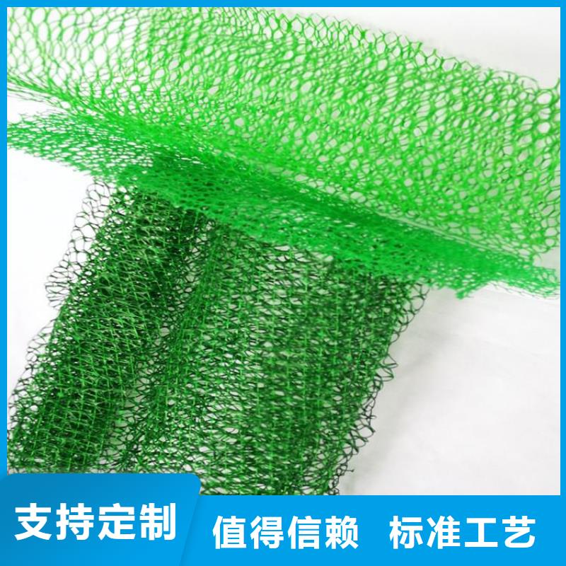 三维植被网_玻璃纤维土工格栅买的放心安兴用的舒心