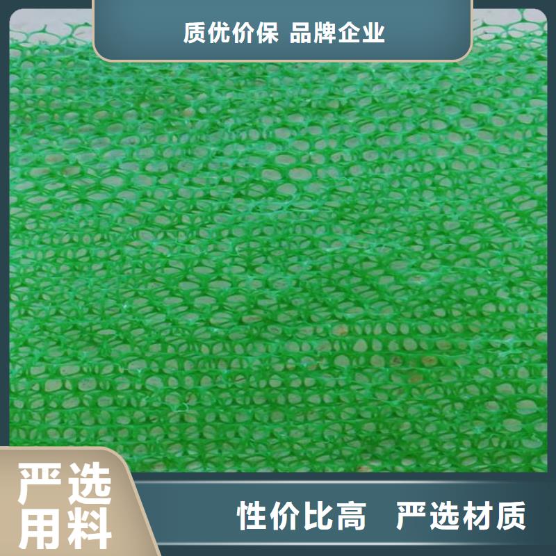 三维植被网_玻璃纤维土工格栅买的放心安兴用的舒心