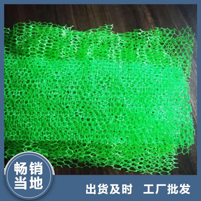 三维植被网软式透水管当地货源