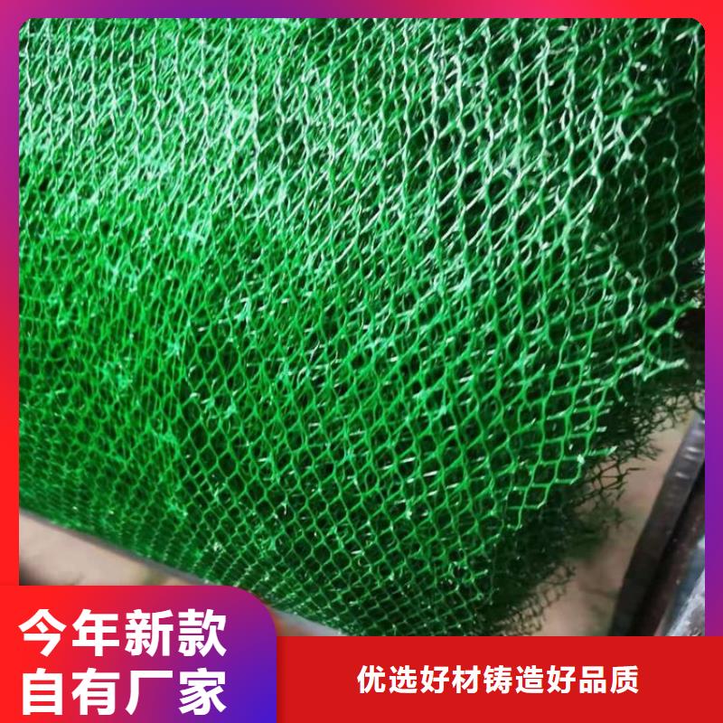 三维植被网软式透水管当地货源