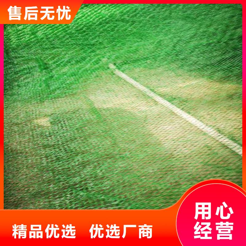 三维植被网,膨润土防水毯专注细节使用放心