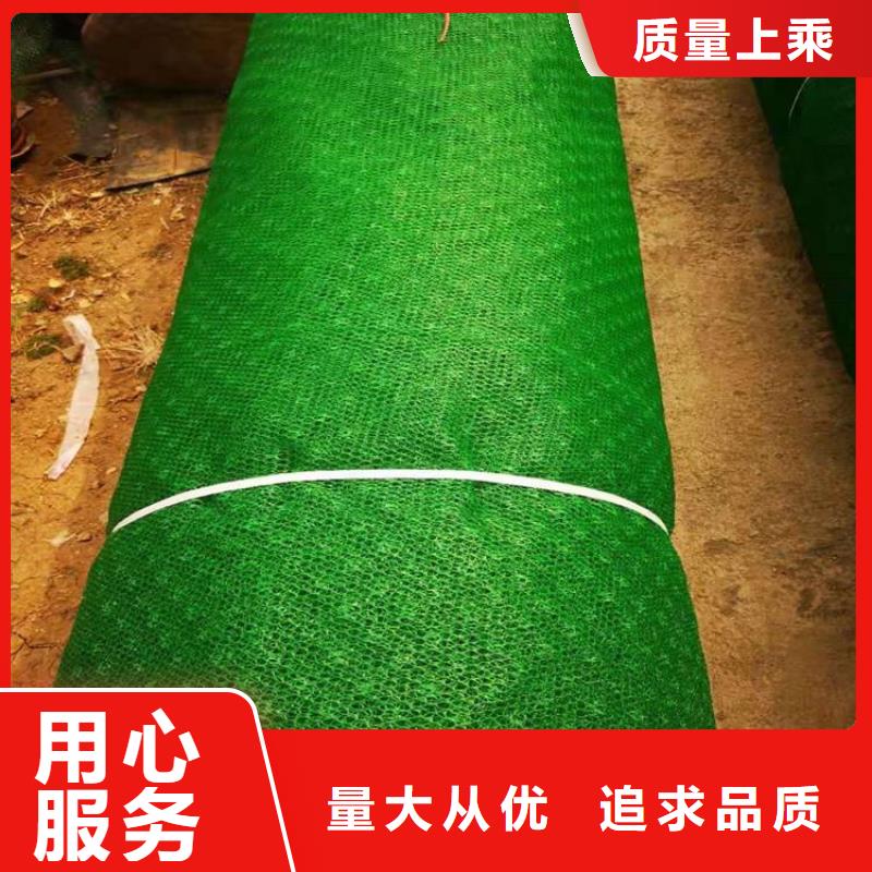 三维植被网,膨润土防水毯专注细节使用放心