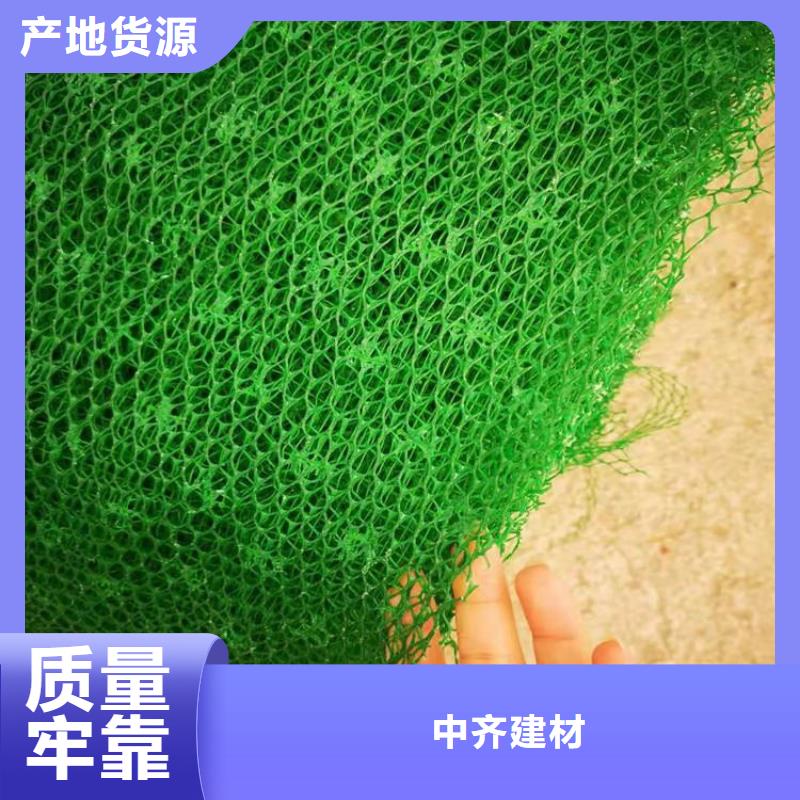 三维植被网软式透水管当地货源