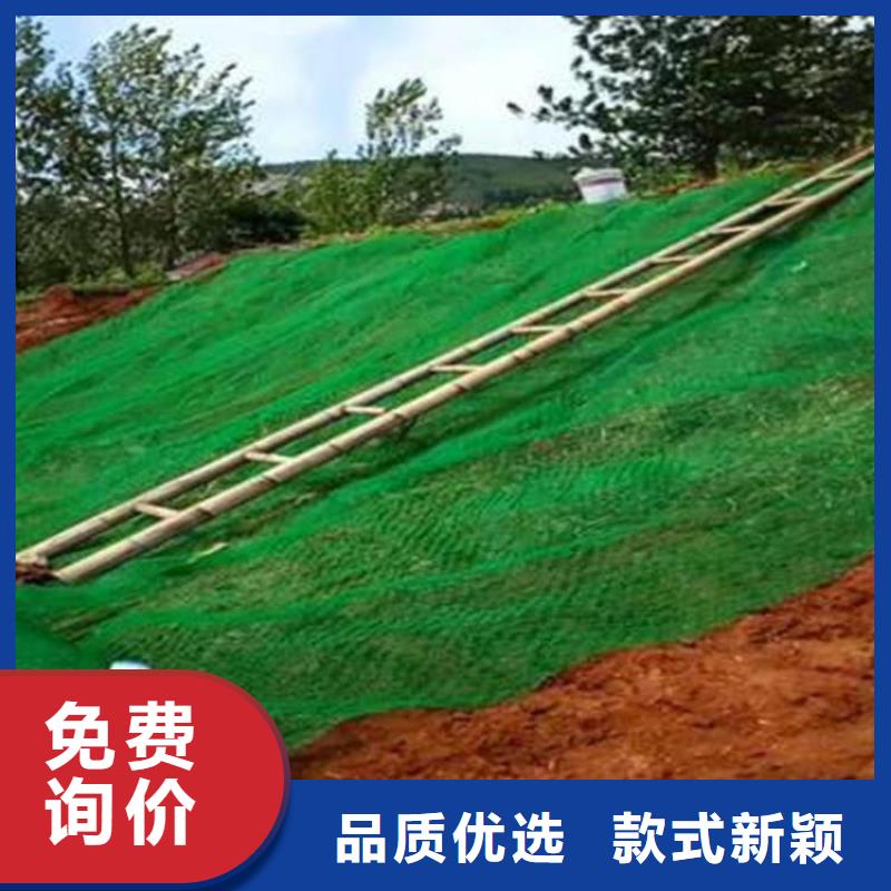 三维植被网,玻璃纤维土工格栅不断创新