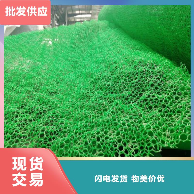 三维植被网玻纤格栅买的放心安兴用的舒心