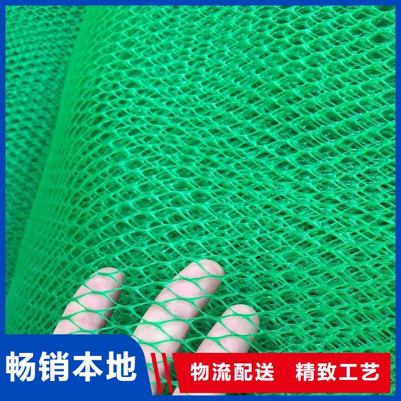 三维植被网,膨润土防水毯专注细节使用放心