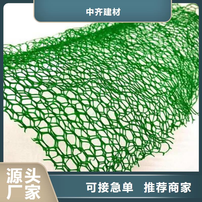 三维植被网,膨润土防水毯专注细节使用放心