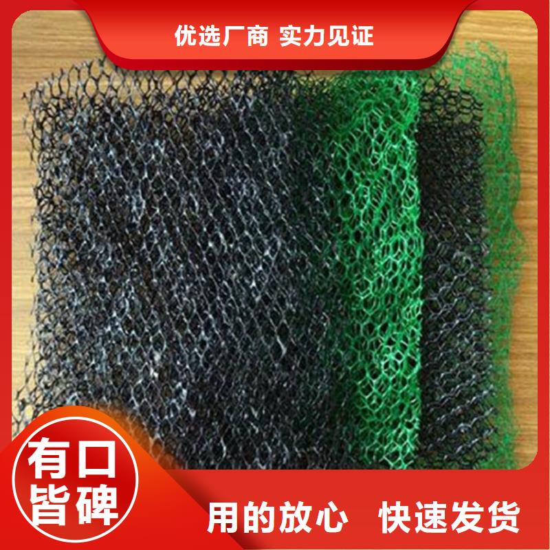 三维植被网软式透水管当地货源