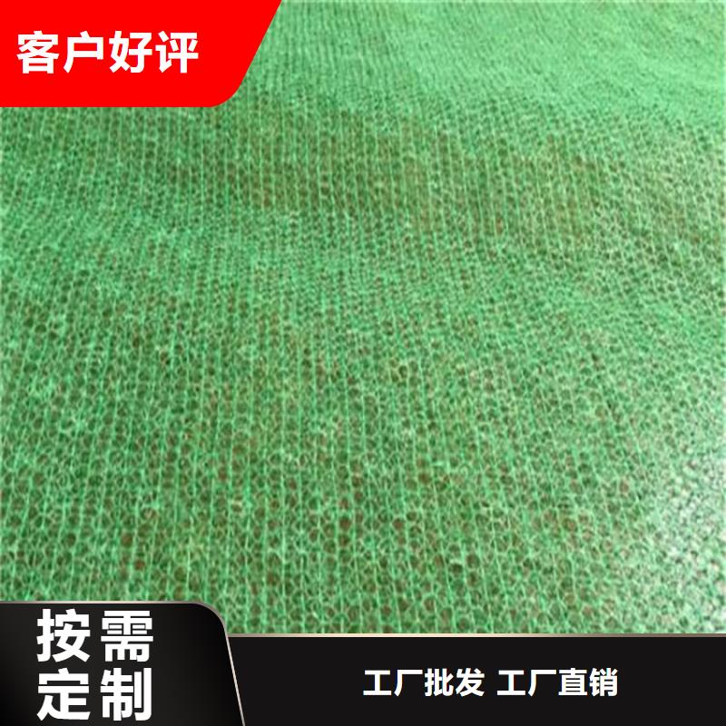 三维植被网,膨润土防水毯专注细节使用放心