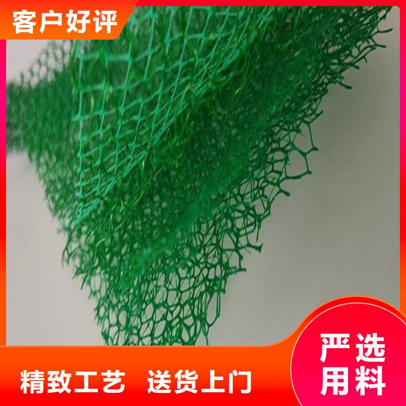 三维植被网,玻璃纤维土工格栅不断创新