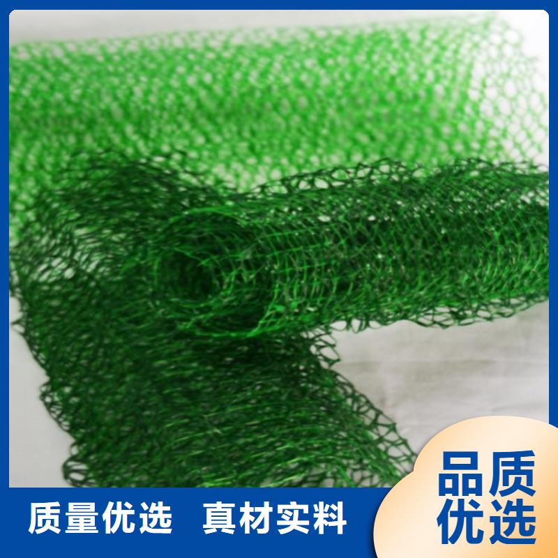 三维植被网-橡胶支座精选优质材料