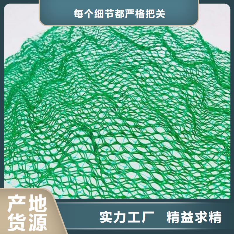 三维植被网,膨润土防水毯专注细节使用放心