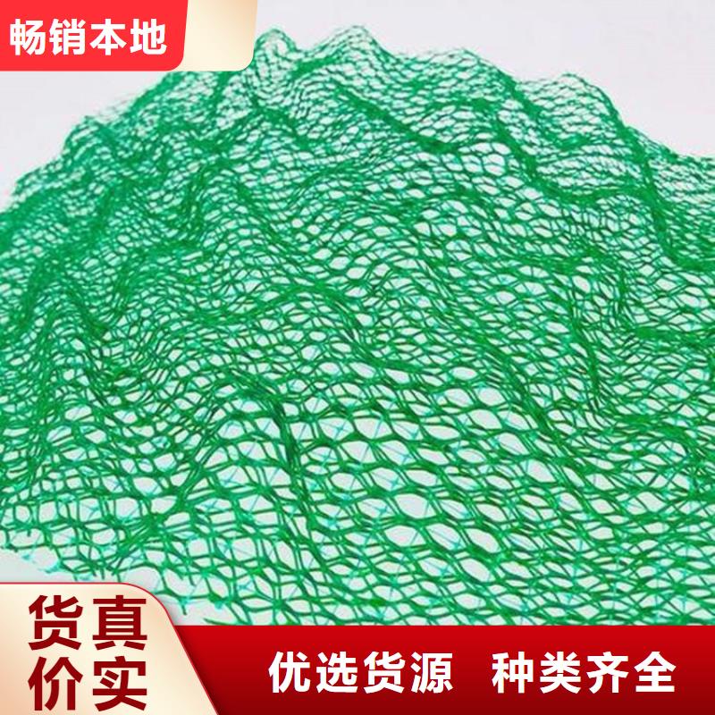 三维植被网玻纤格栅买的放心安兴用的舒心