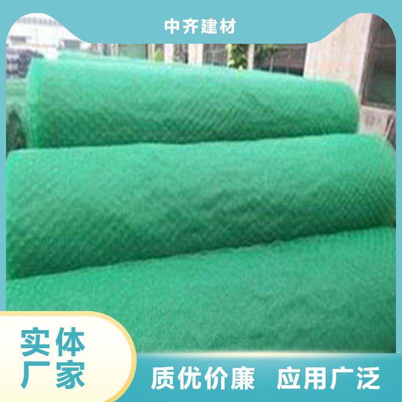 三维植被网,膨润土防水毯专注细节使用放心