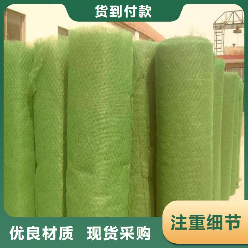 三维植被网软式透水管当地货源