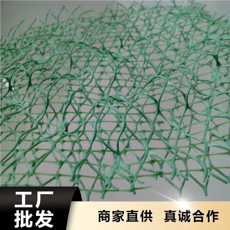 三维植被网软式透水管当地货源