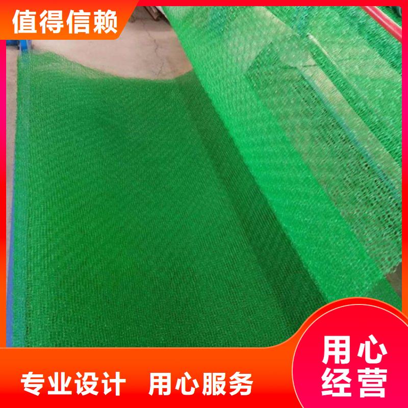 三维植被网软式透水管当地货源