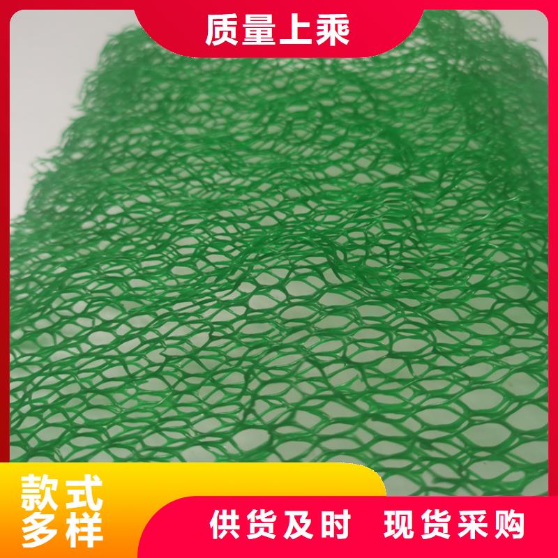 三维植被网,膨润土防水毯专注细节使用放心