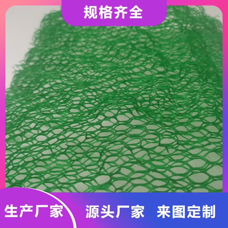 三维植被网,膨润土防水毯专注细节使用放心