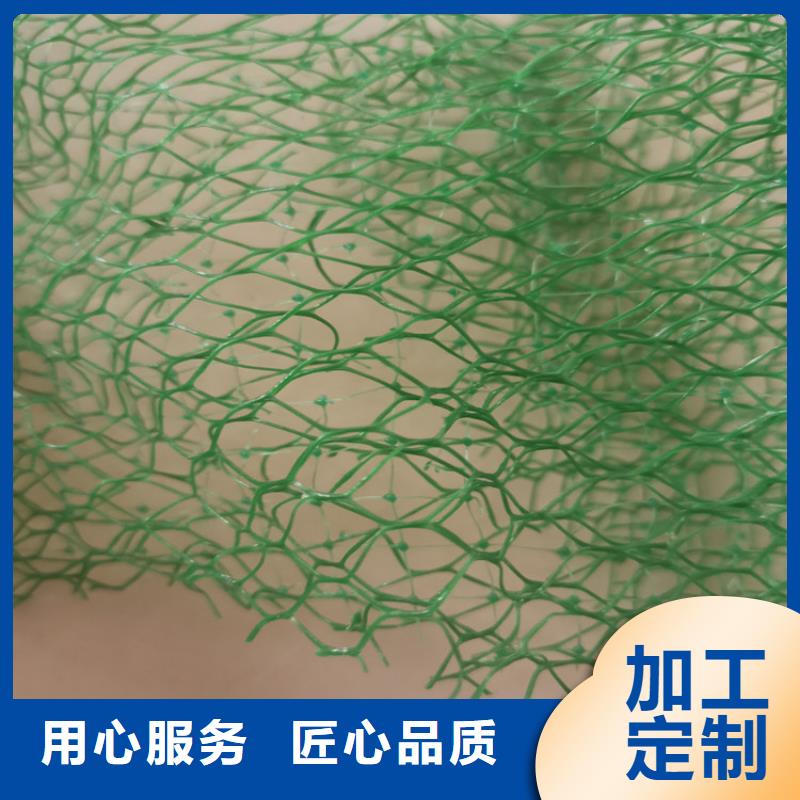 三维植被网,土工膜厂家新品