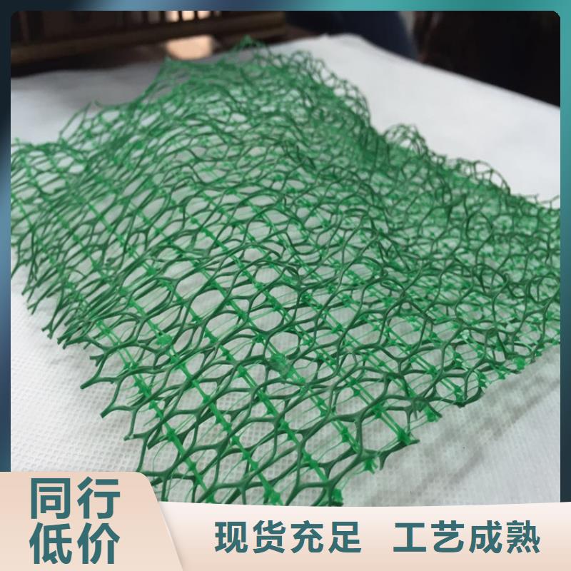 三维植被网,膨润土防水毯专注细节使用放心
