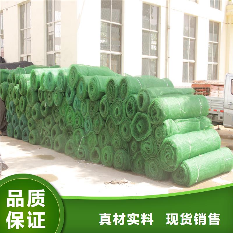三维植被网玻纤格栅买的放心安兴用的舒心