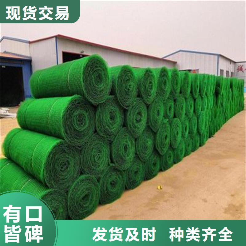 《衡阳》 三维植被网-土工布质量三包
