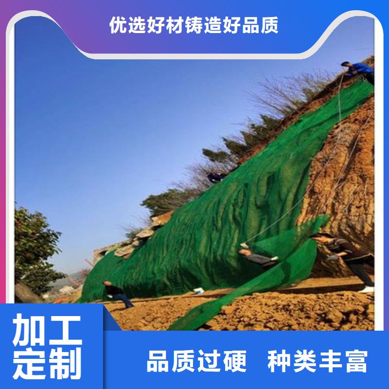 《衡阳》 三维植被网-土工布质量三包