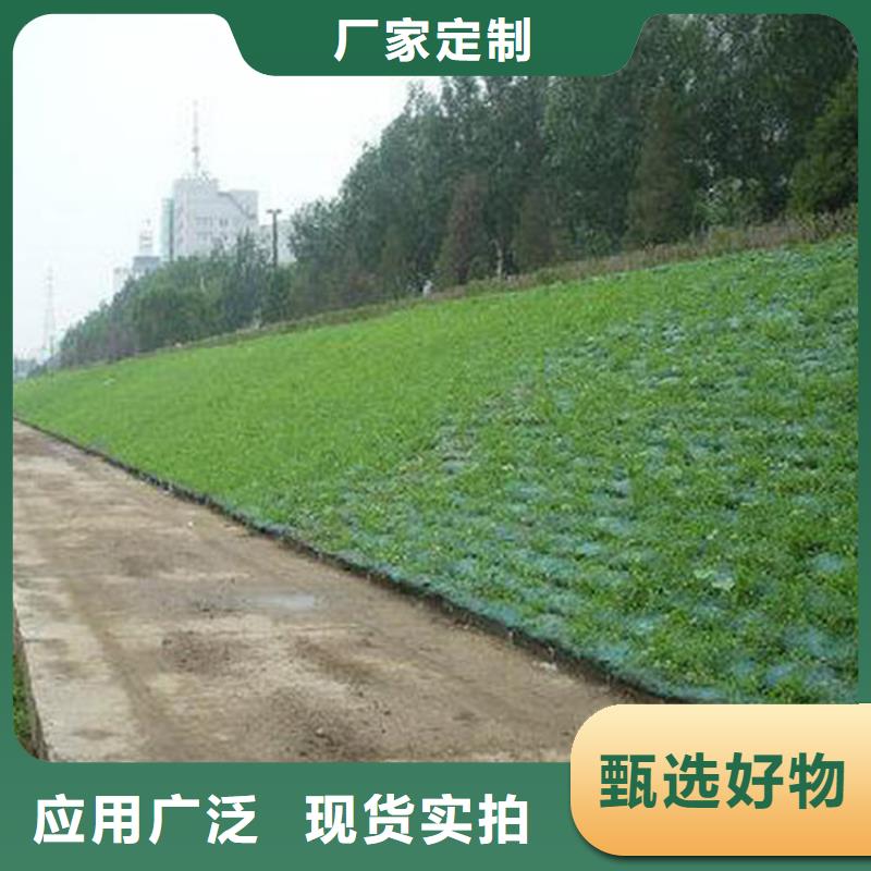 《衡阳》 三维植被网-土工布质量三包