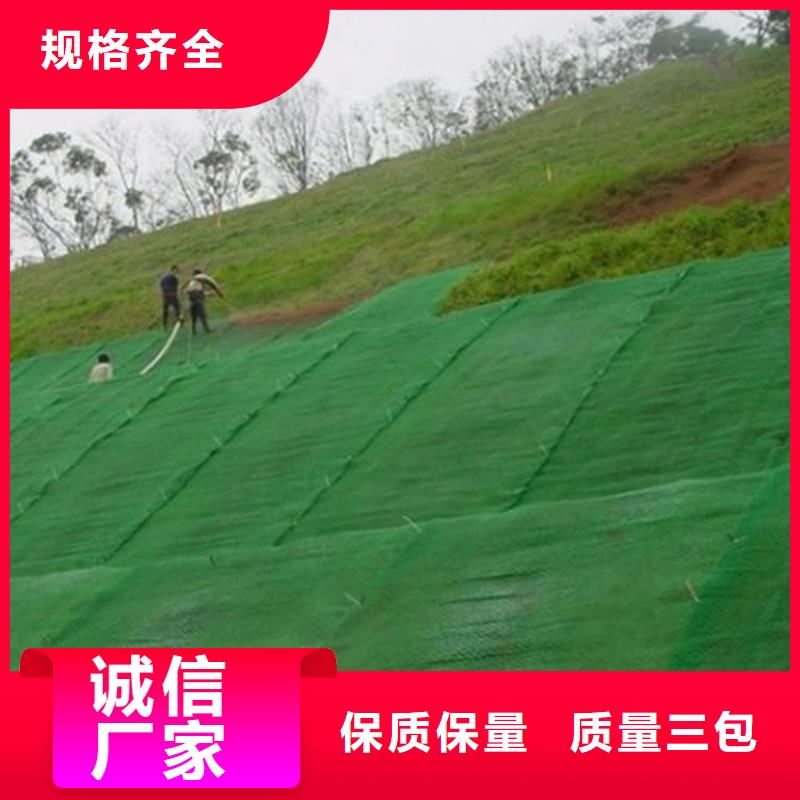 《衡阳》 三维植被网-土工布质量三包