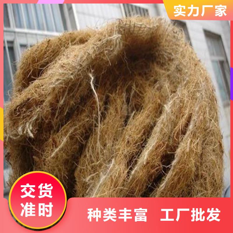 椰丝毯双向塑料土工格栅设计制造销售服务一体