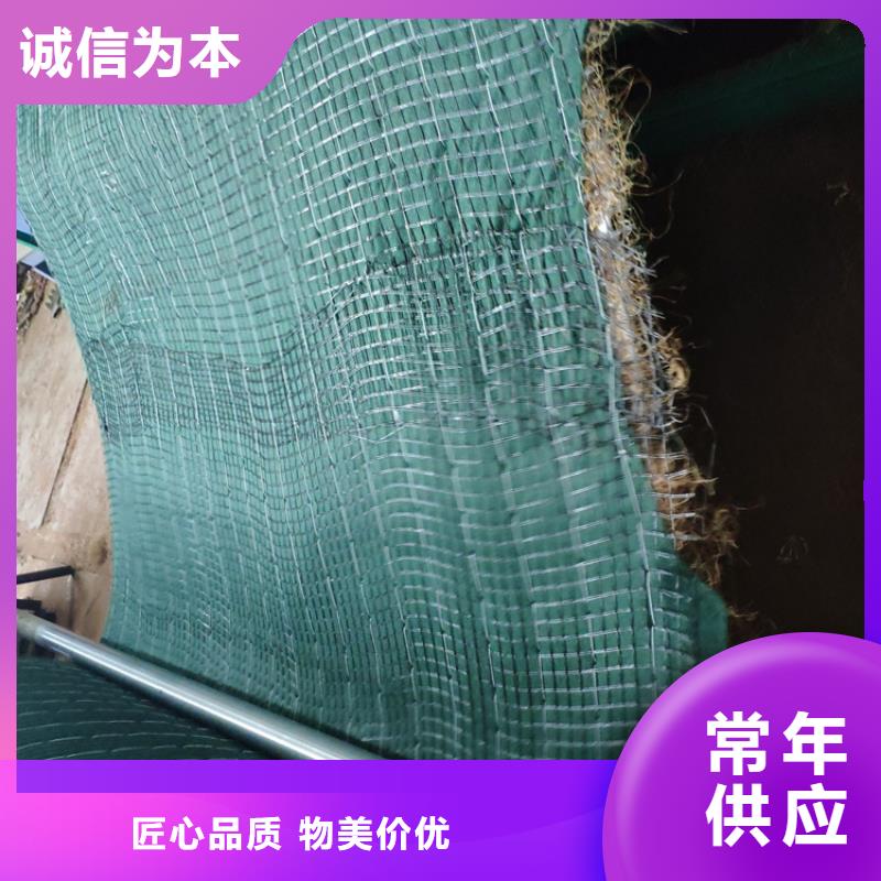 椰丝毯双向土工格栅质量好