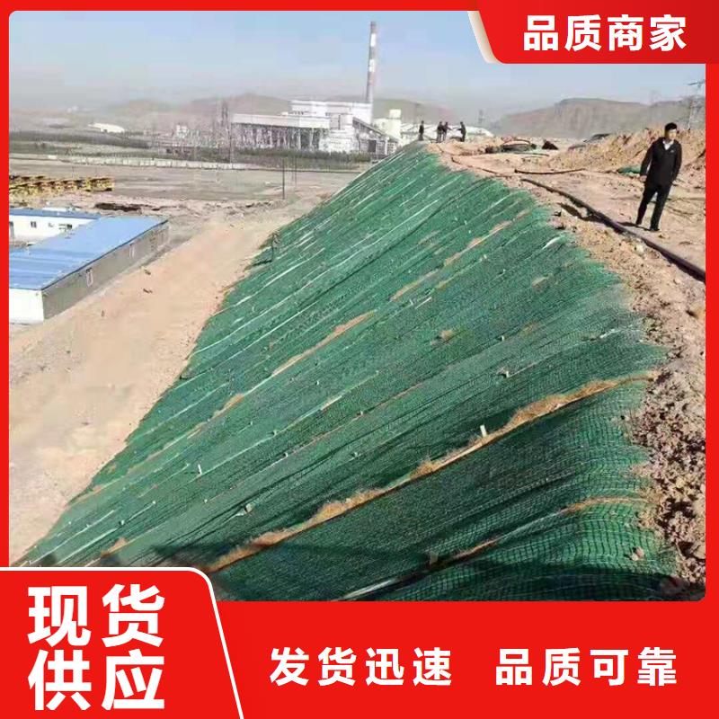 椰丝毯双向土工格栅质量好