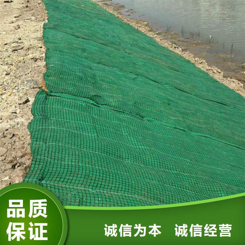 椰丝毯双向土工格栅质量好