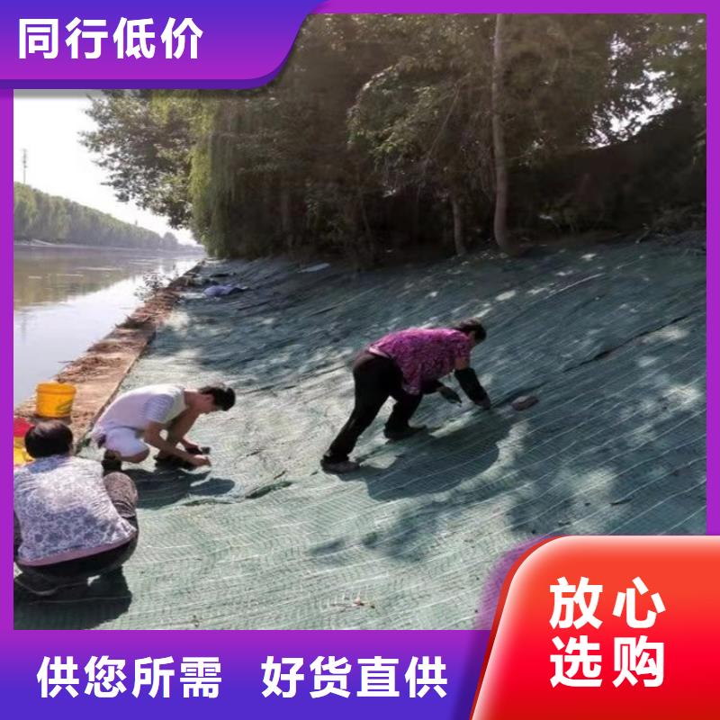 椰丝毯双向土工格栅质量好