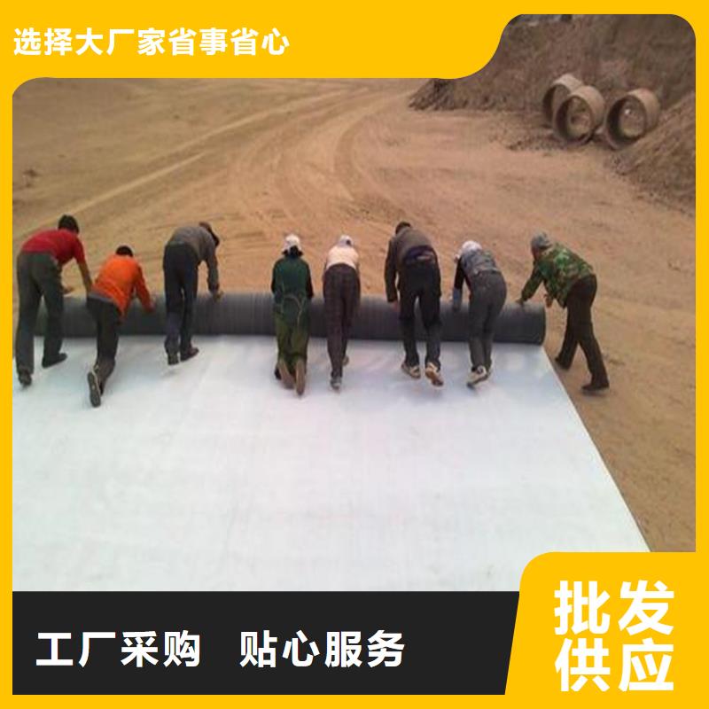 膨润土防水毯【土工膜】值得信赖