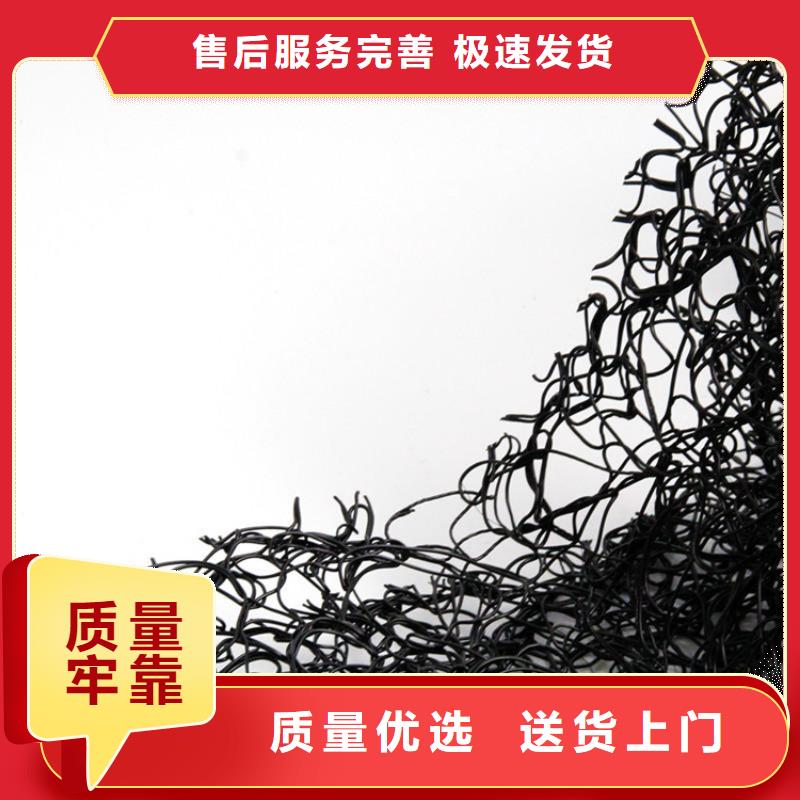 通风降噪丝网-【双向塑料土工格栅】出货快