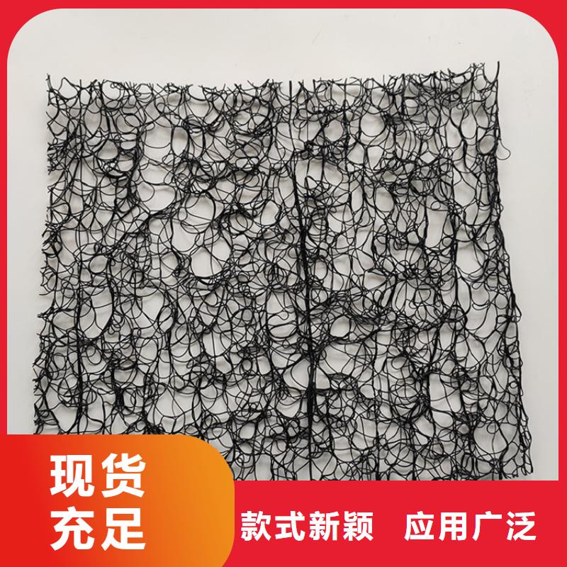 通风降噪丝网-【双向塑料土工格栅】出货快