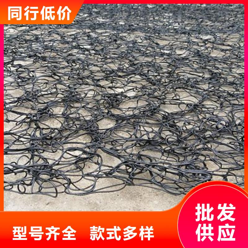 通风降噪丝网_三维植被网厂家