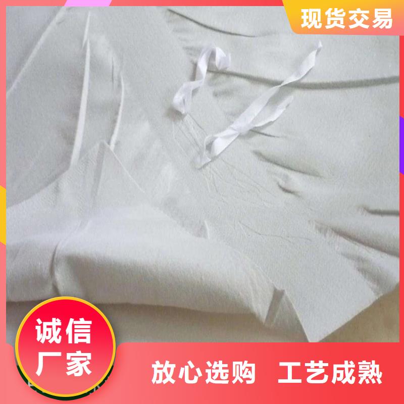 防水板土工格栅工厂直供