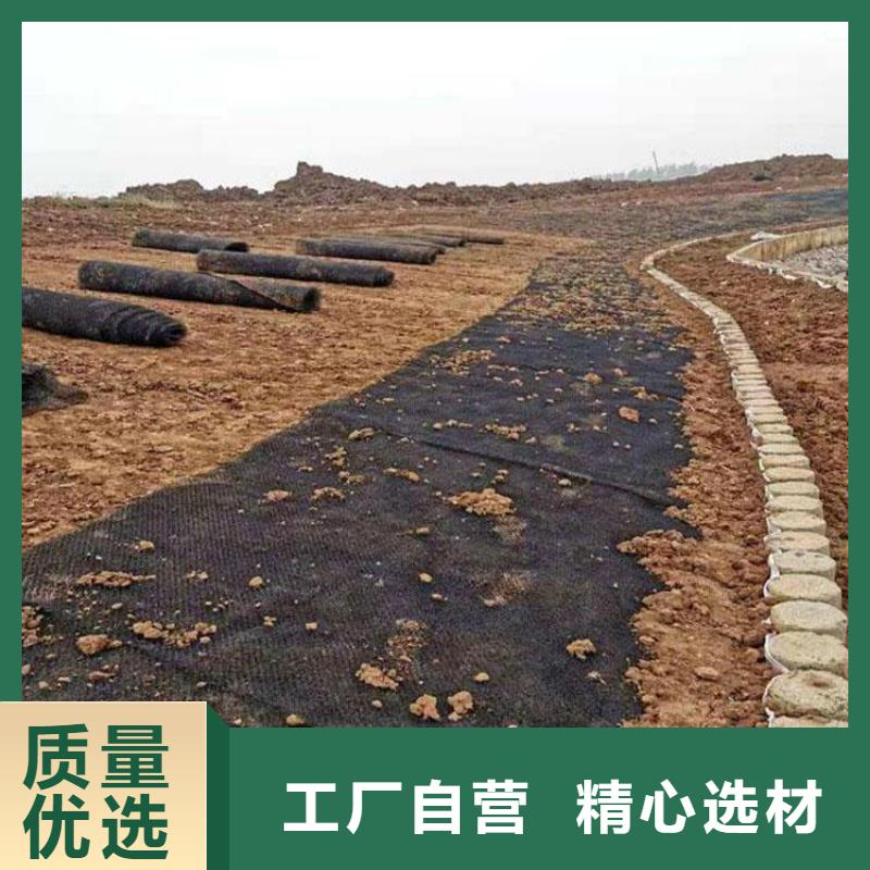 水土保护毯网格布专业生产团队