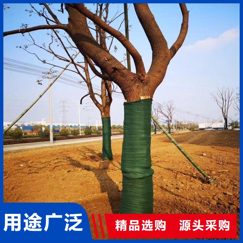 裹树布土工布来图来样定制