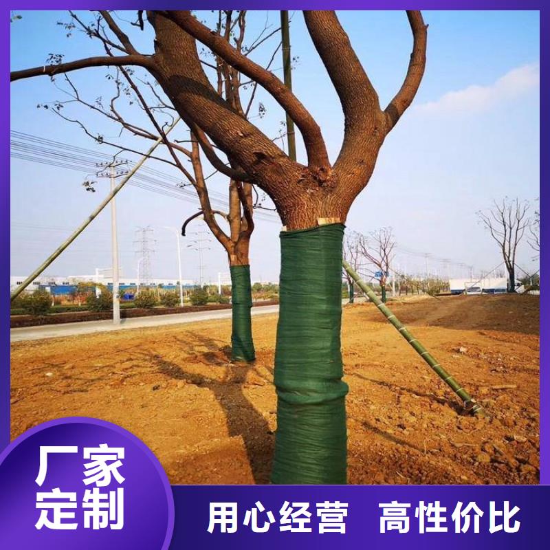 裹树布土工布厂家技术完善
